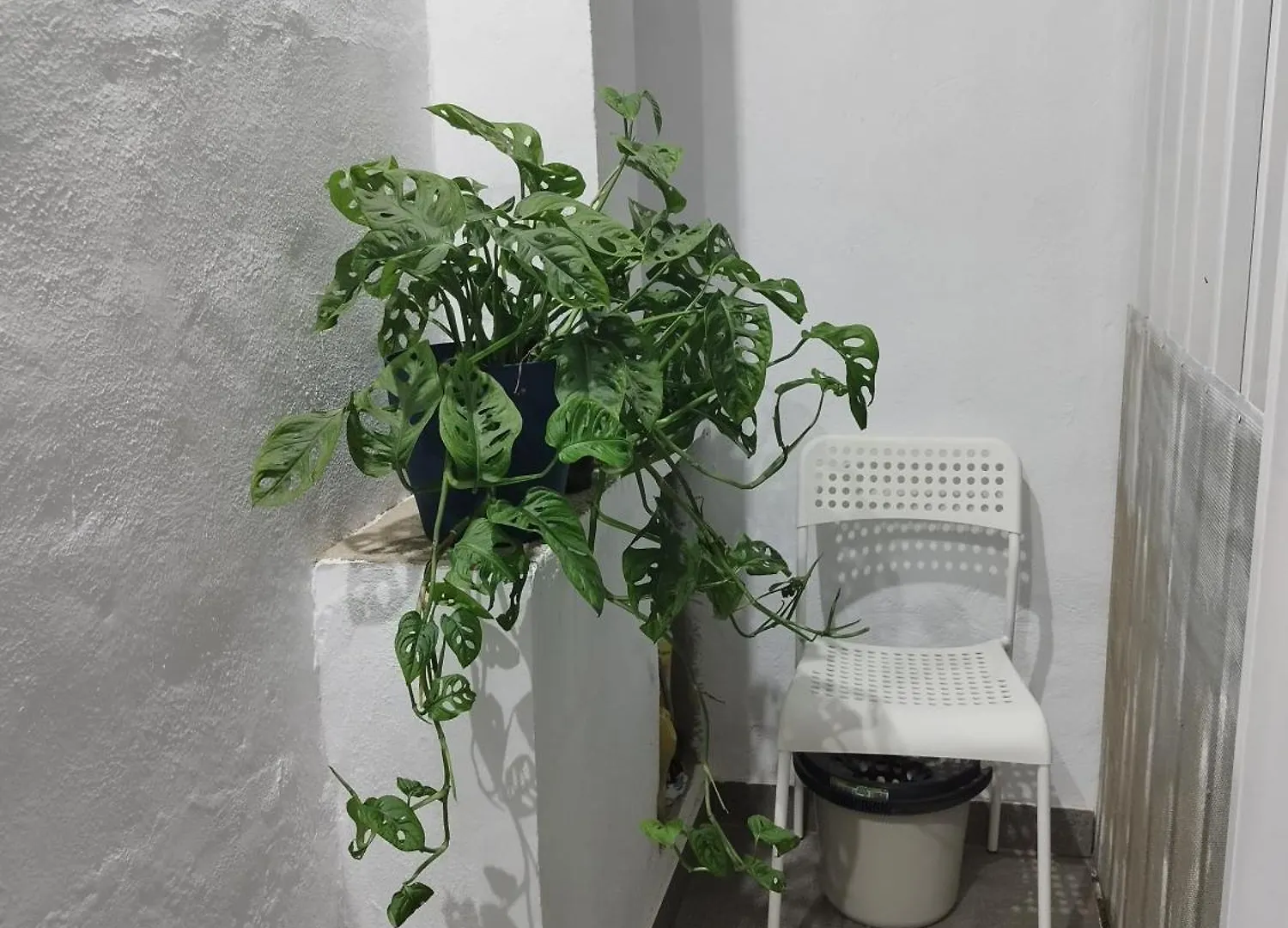 Casa De Maria Luisa Apartment Arona  Spain